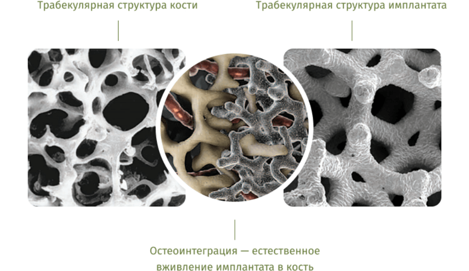 Иллюстрации на сайте помогают зацепить внимание пользователя и объяснить сложные вещи