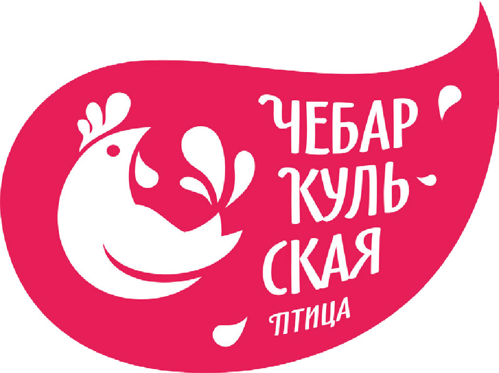 Лого не привязано к цветовой палитре, его можно использовать на любых носителях Портфолио Чебаркульская птица