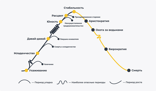 Модель развития компании по Адизесу описывает жизненный цикл организации, состоящий из последовательных этапов, каждый из которых характеризуется определенными проблемами и требует специфических подходов к управлению