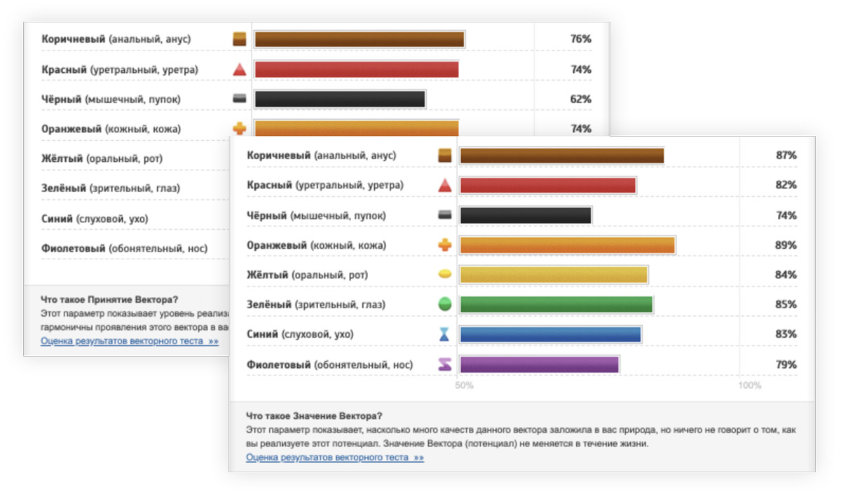 Результаты тестов по векторной психологии одного из кандидатов. Портфолио HashDesk