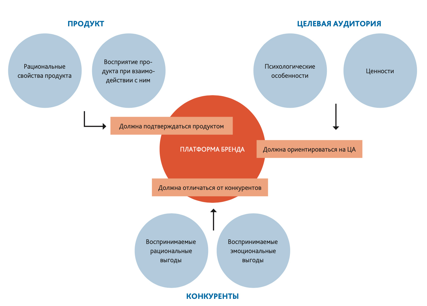 Бренд-платформа формируется из анализа трех составляющих: продукт, ЦА, конкуренты Портфолио Западный луч
